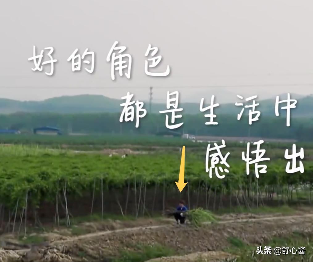 向往的生活任嘉伦谭松韵许魏洲,向往的生活任嘉伦掉河里了