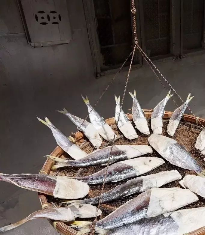 咸鱼翻身是命运吗,咸鱼翻身是什么