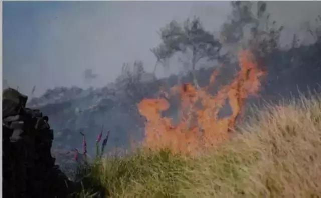 2019年地球进入小冰期,地球是大灾大难还是地球末日