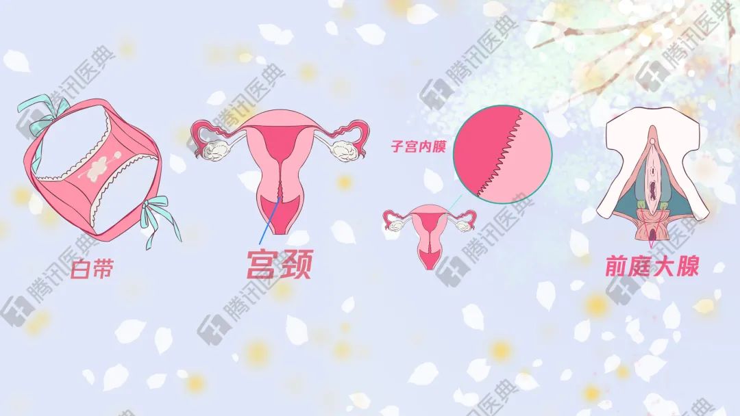 女孩们,*处私**有酸奶味是正常的,别被商家骗了买什么*处私**香水