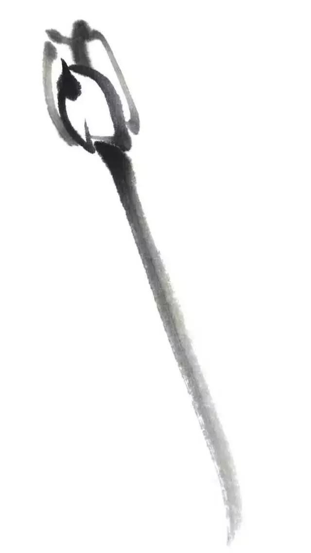 白描荷花的画法图片,如何画荷花白描大片