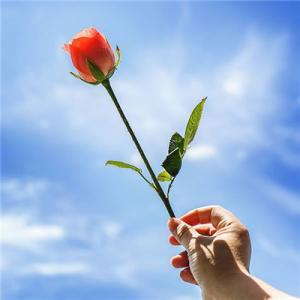 900句常用口语大全,口语500句全集