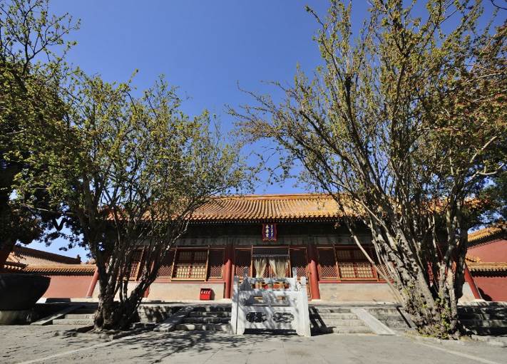 故宫散文游记2000字,故宫之美散文