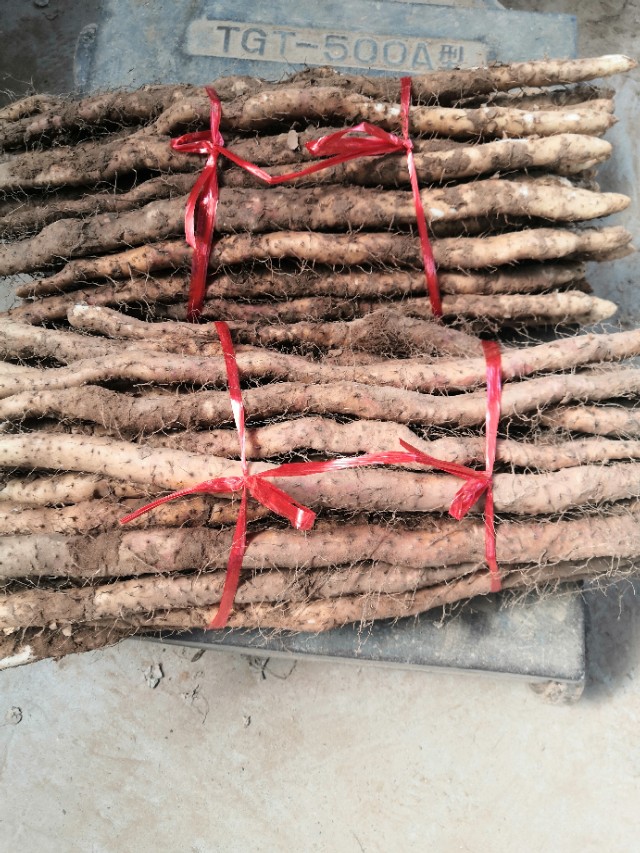 铁棒跟铁棍山药的区别,铁棍山药真的假的