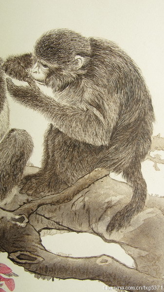 手工雕刻作品的收藏价值,真实的雕刻作品欣赏