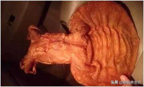 鱼胶知识书籍,鱼胶的知识抖音视频