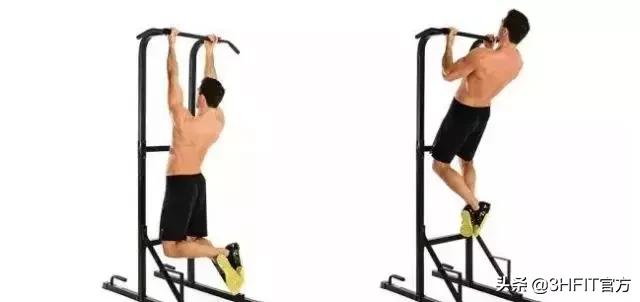 最好的背部训练动作是什么,最好的背部训练动作绳索划船