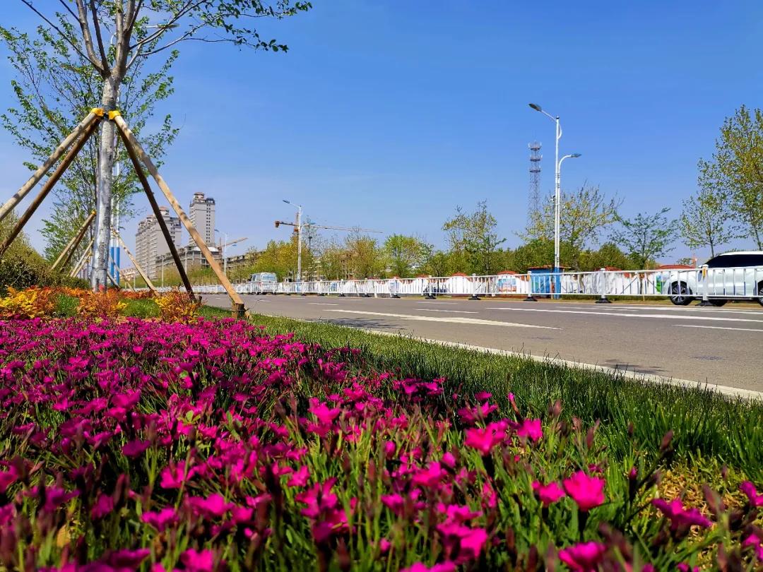 日照岚山小城,岚山擦亮美丽花园城市靓丽新名片