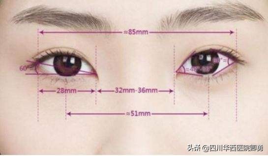 眼部整形的最佳标准,眼部整形可以整成圆眼吗