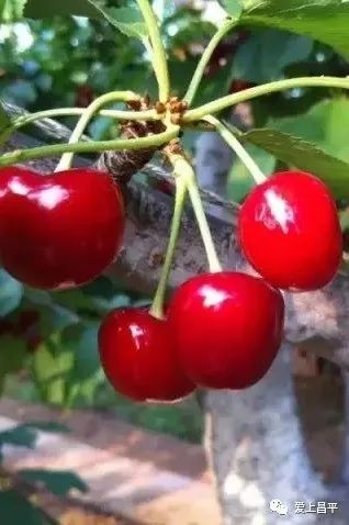 抓住五一尾巴农家乐推荐,抓住假期的小尾巴隐居民宿