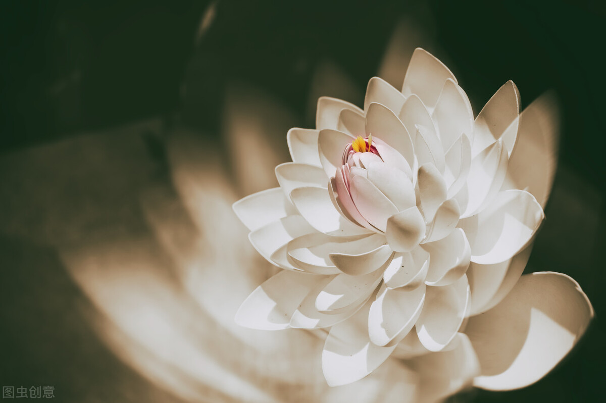 《鬼谷子》系列第二十二章，谋篇（2）