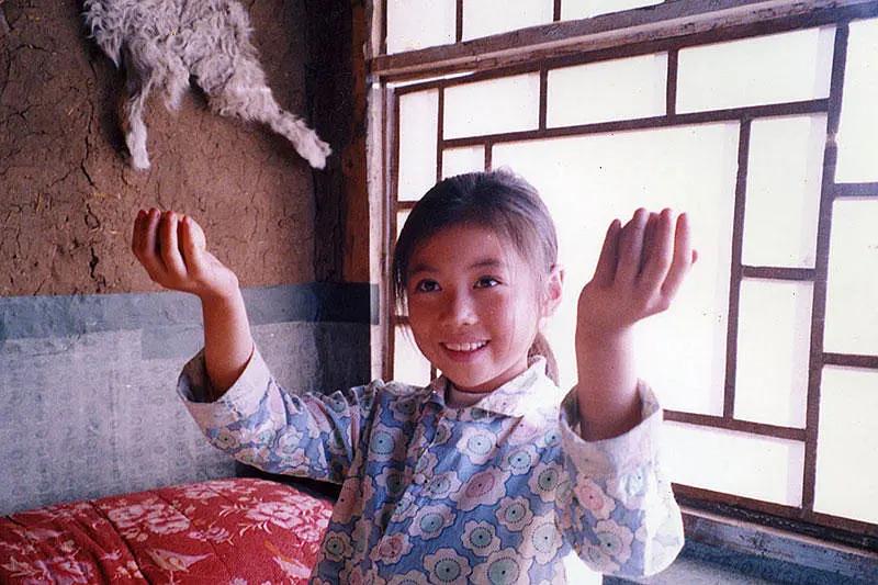 暖春电影观后感,暖春观后感影评400字