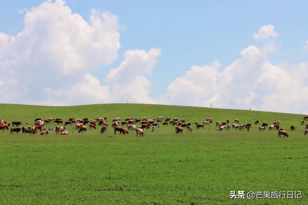 自由行呼伦贝尔七天费用,呼伦贝尔自由行费用