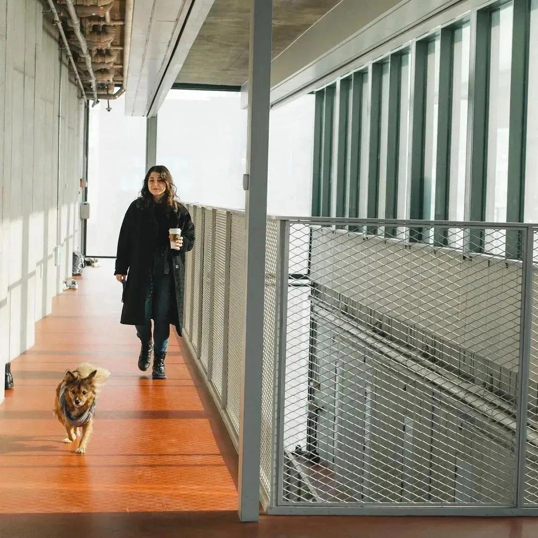 亚洲最好的共享公寓,高档共享公寓