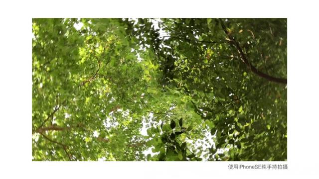 新款iphonese有啥优点,苹果se系列最值得入手的手机