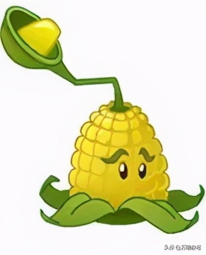 玉米坏了煮了会怎么样,玉米坏掉了