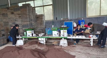 农村青年赚钱,农村青年创业模式