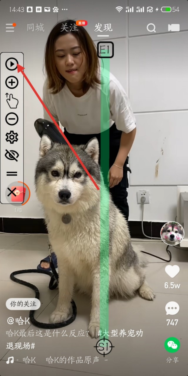 想全自动挂机赚钱吗,进来我教你