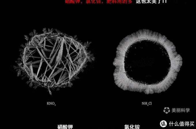 推荐几款好玩的应用,推荐10个实用软件