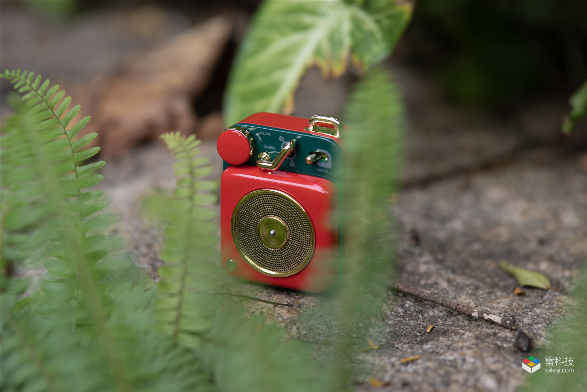 猫王原子唱机评测,猫王原子唱机和野性mini哪个好