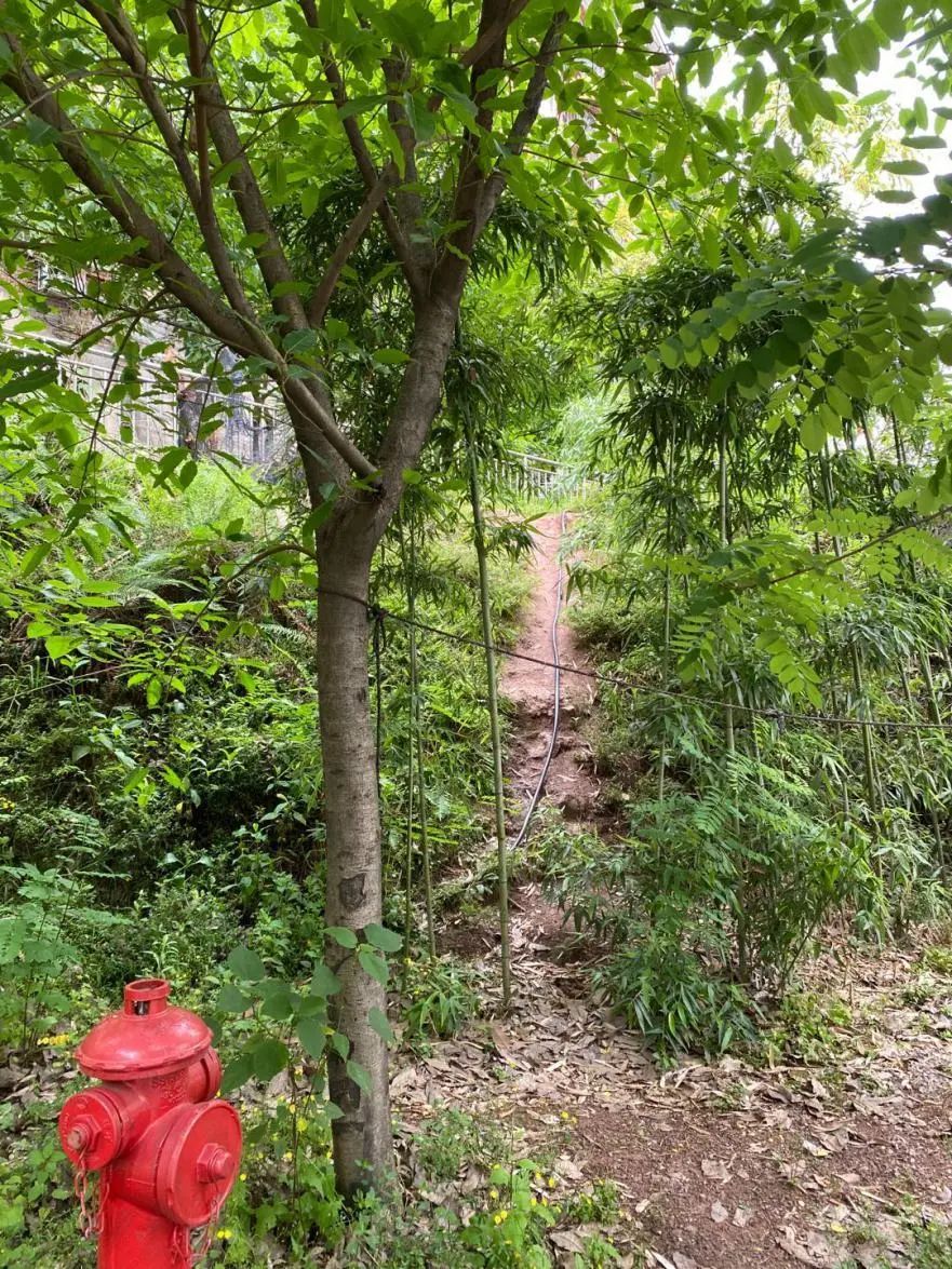 重庆渝北的鬼屋,重庆开发商破产