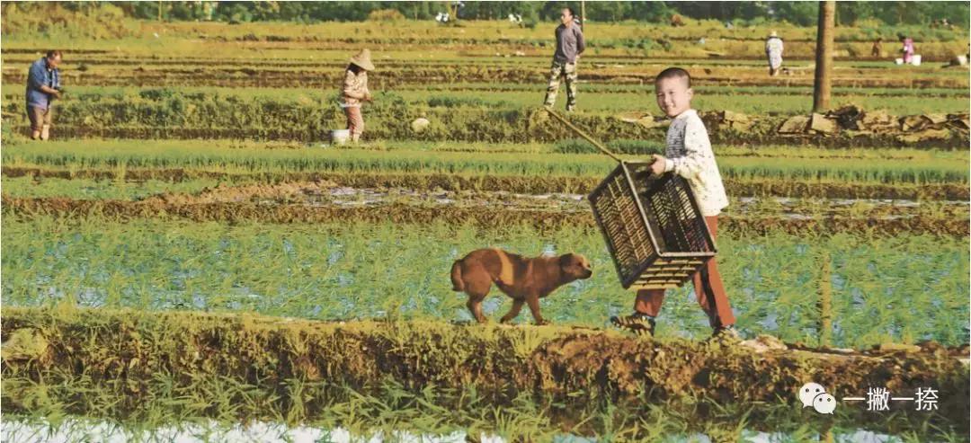 人民日报最惊艳的图片,人民日报最美照片