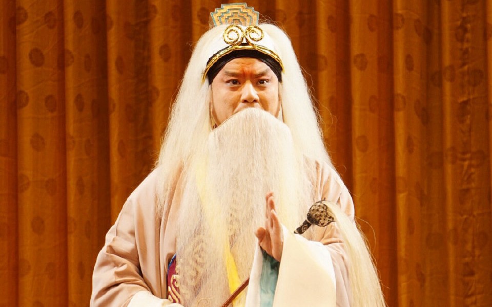 王莽是怎么登上帝位的,王莽是怎么当上皇帝的