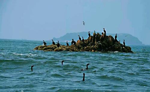 辽宁被低估的城市,辽宁最被低估的省份