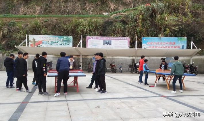 校园春意盎然,校园春意荡漾