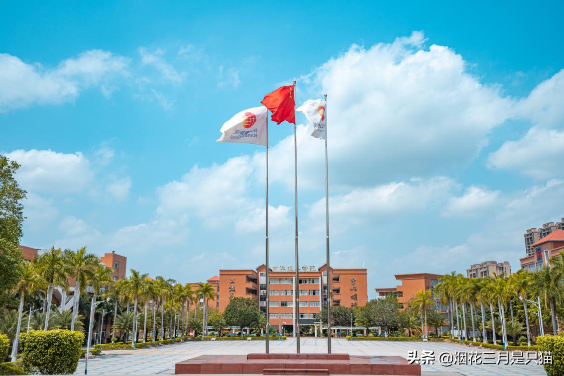 还在为选学校发愁吗,还在为选项目发愁吗