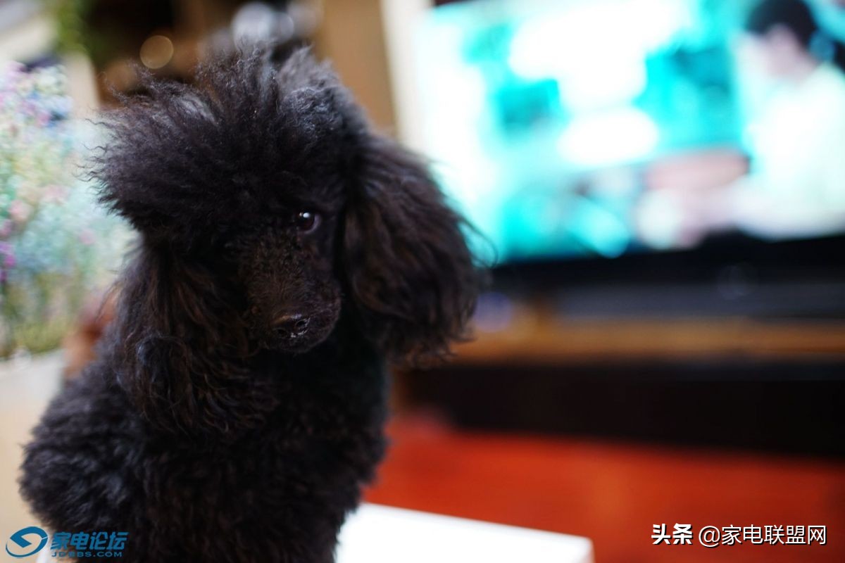 索尼ht-s500rf环绕音响,索尼ht-s500rf怎么连麦克风