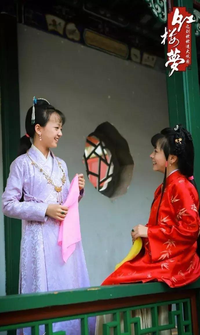 读红楼梦好多生僻字怎么办,红楼梦里你不认识的生僻字