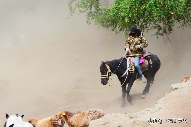 西天取经自驾游攻略,贵州出发自驾敦煌旅游攻略