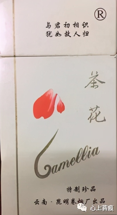 云遮月——你的未来没有我