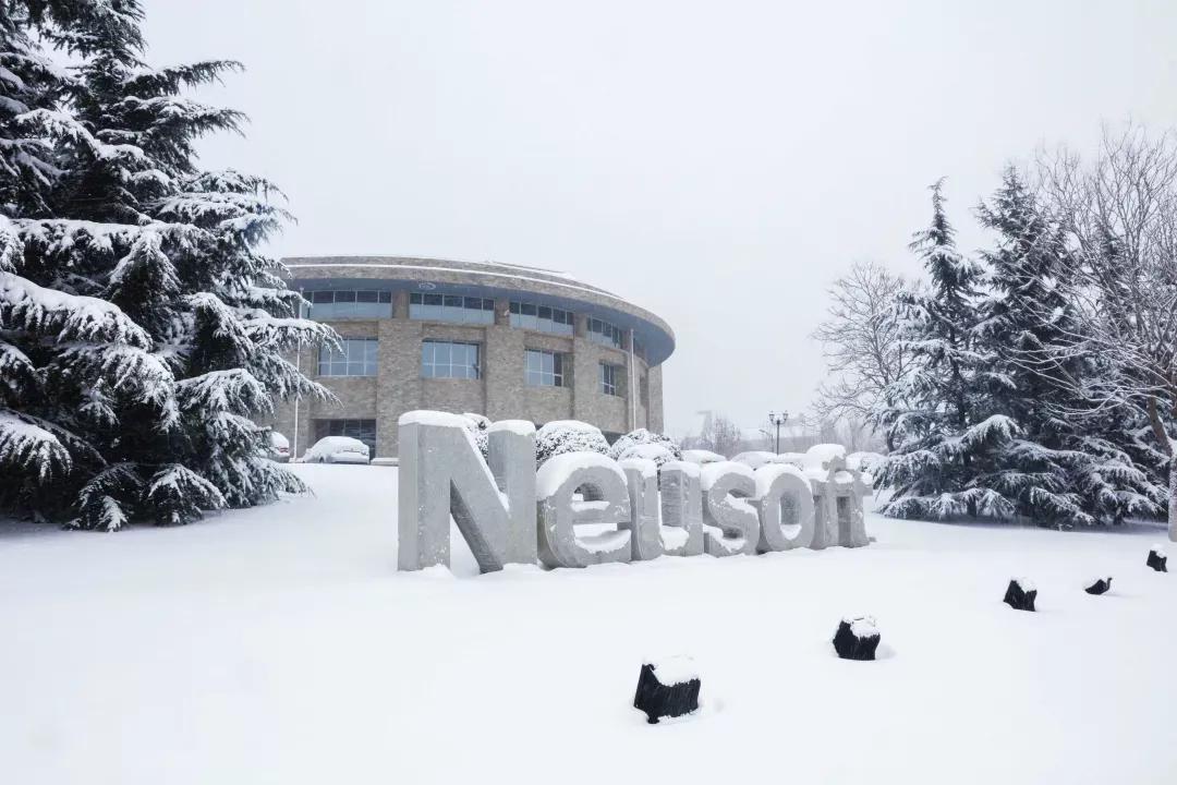 辽宁省民办大学（二）大连东软信息学院