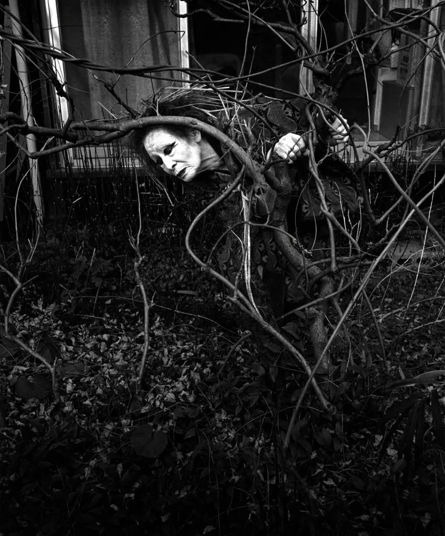 三岛由纪夫青年照,三岛由纪夫奔马图片