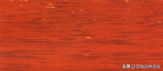 木纹最好看的木材图片,各种木材纹理图片与名称