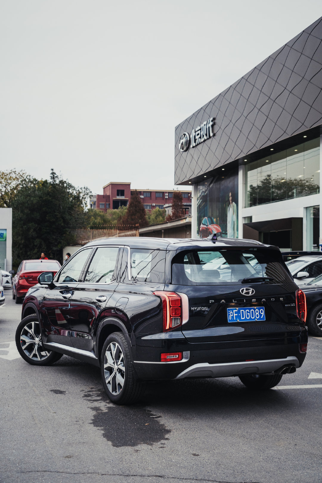 北京现代palisade试驾视频,现代帕里斯帝海外试驾体验