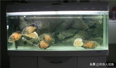 冬天使用加热棒需要盖吗,冬天使用太阳能注意事项