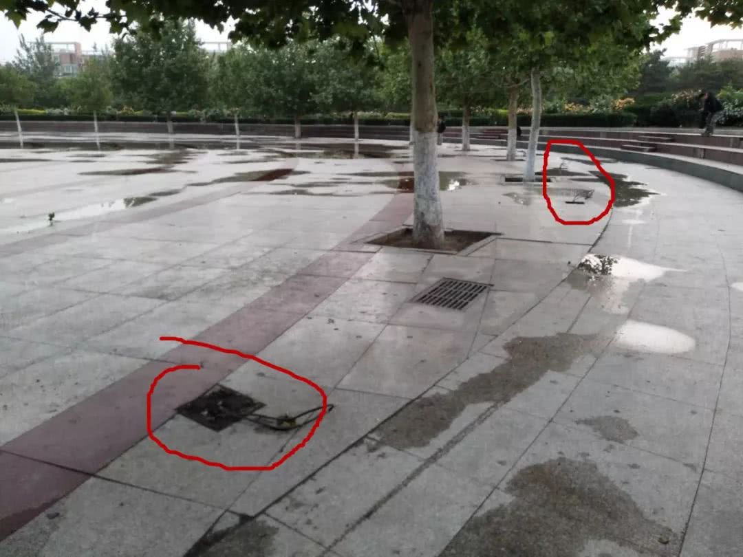 燕郊南苑公园规划,燕郊公园改造最新消息