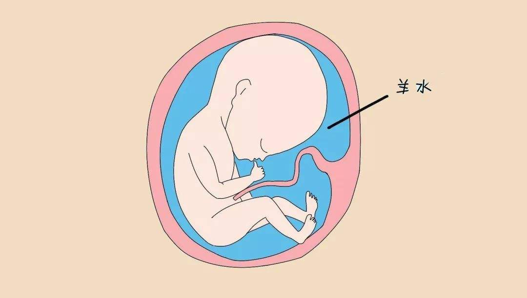 羊水破裂准妈不要惊慌,准妈妈羊水破了肚子痛