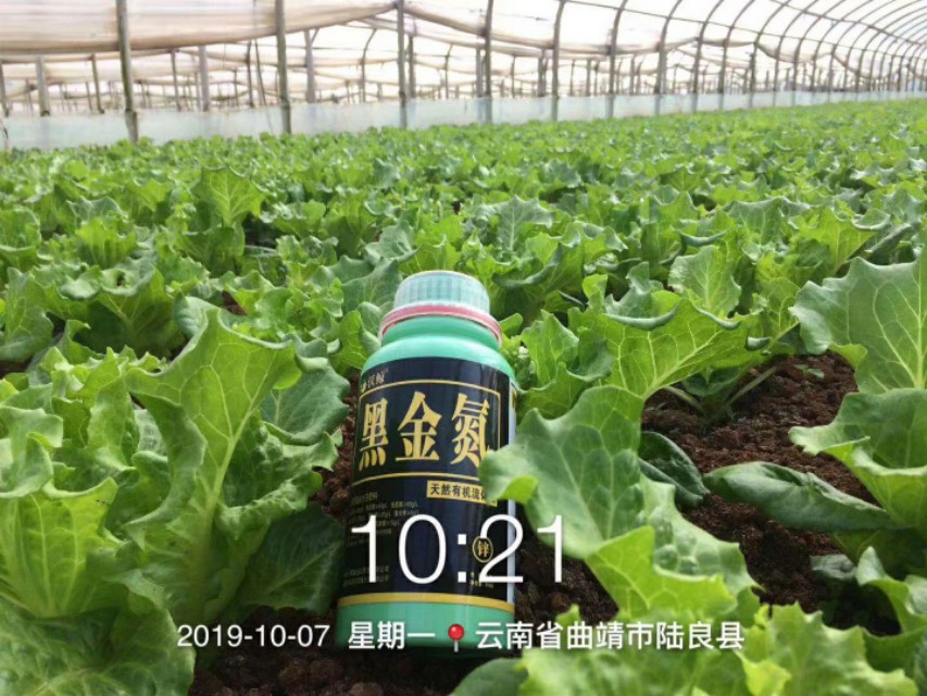 植物生长必需的16种营养元素,植物必需的16种营养元素口诀