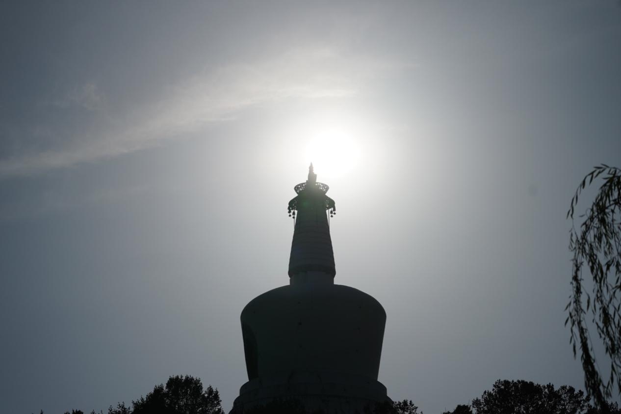 无反全能镜头,适马400mmf5.6测评