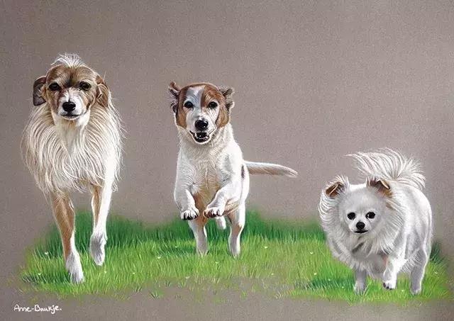 彩铅不会涂色怎么办,彩铅绘画干货