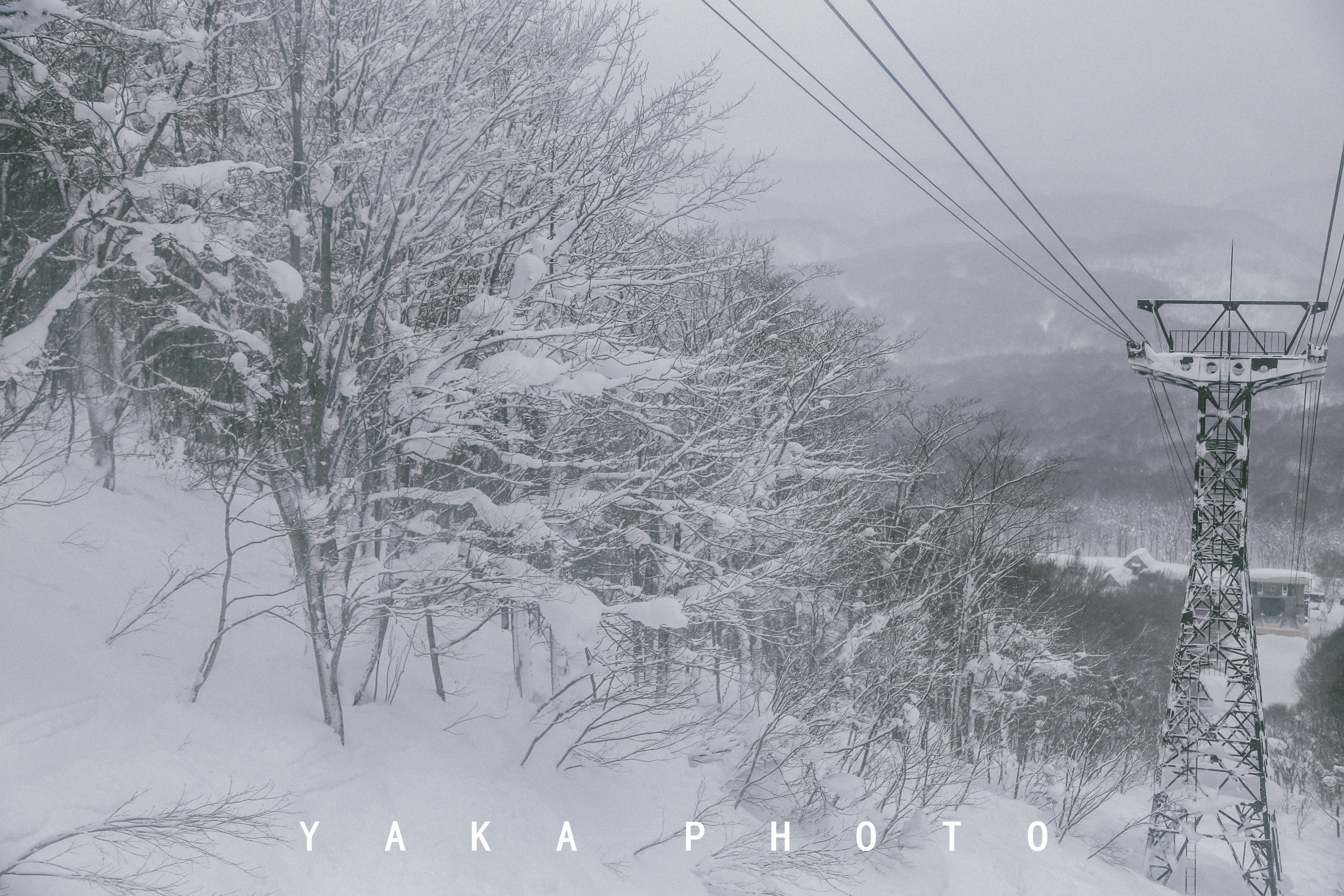 日本青森睡魔祭的寓意,青森星野度假村睡魔祭