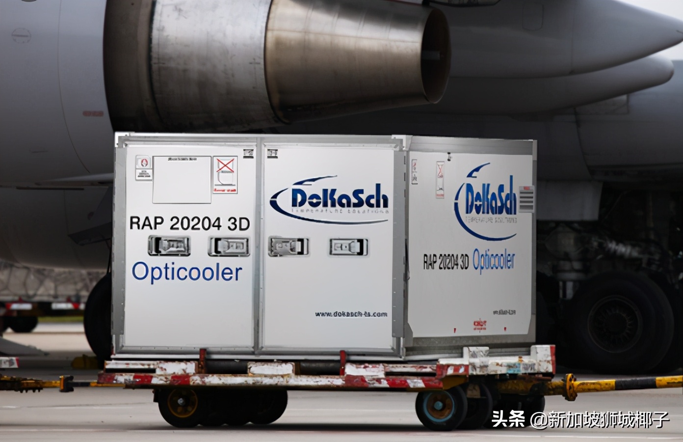 新加坡航空麻将,新加坡航空788