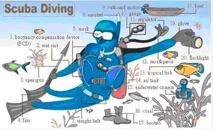 30张场景单词图，教你记住高频生活词（建议收藏）