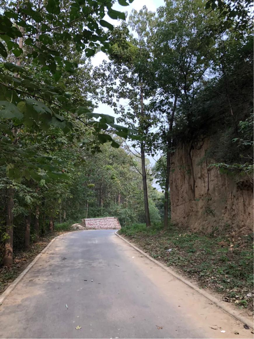 郑州免费公园树木园,郑州树木园开放