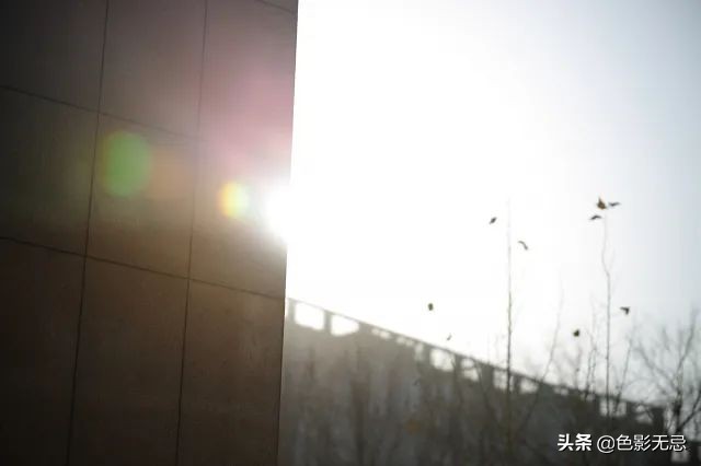 佳能85mm1.2rf对比柔焦版,佳能rf24-105mmf2.8镜头评测