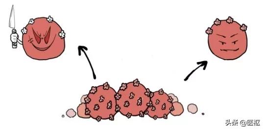 hpv感染与宫颈癌宣传科普,关爱女性健康之宫颈癌